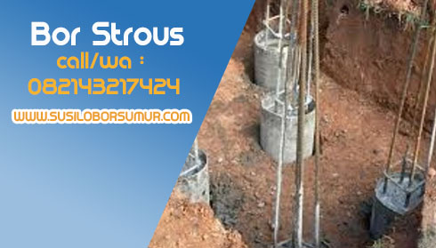 Bor Strous